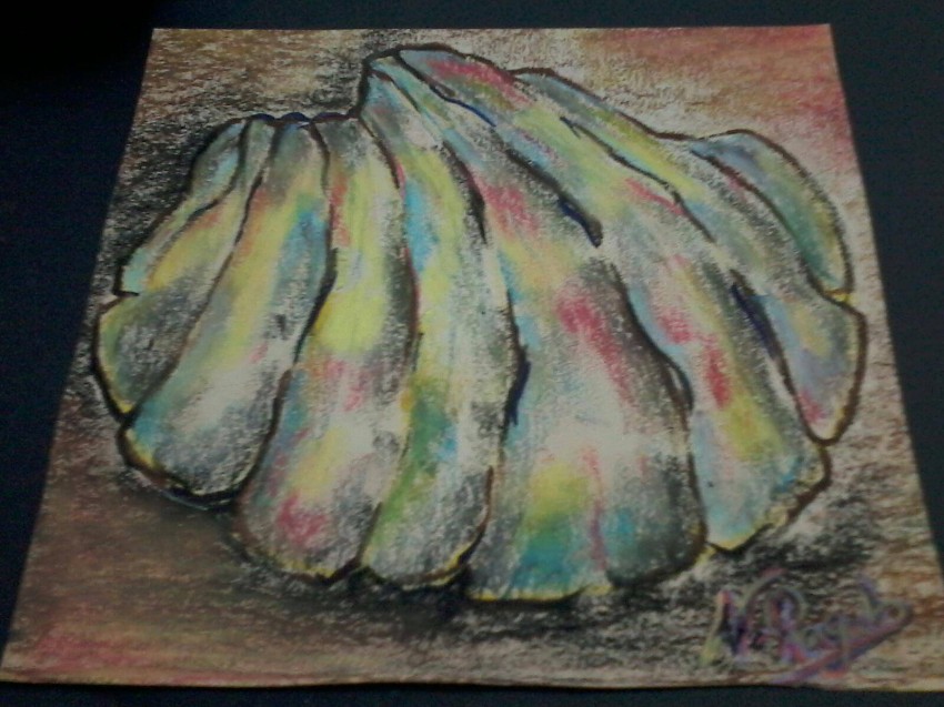 Seashell