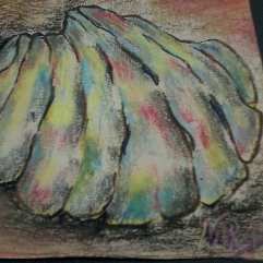Seashell
