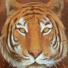 Drawing On a Tree Trunk