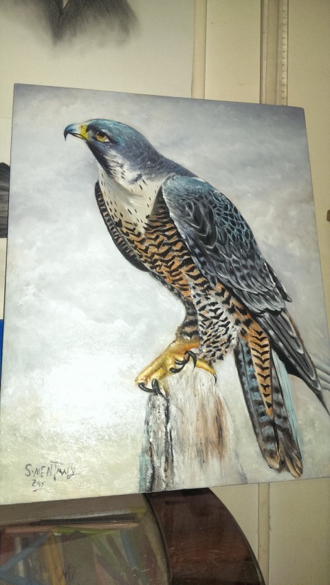 Falcon
