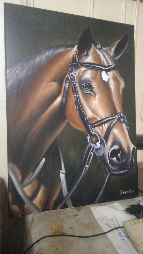 Horse