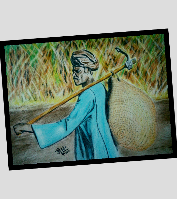 The Farmer
