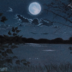 Moon Sadness