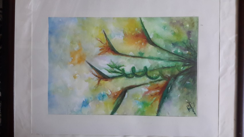 Bird of Paradise