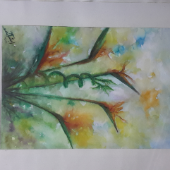 Bird of Paradise