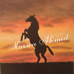 Horse At Night