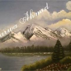 Lake and snow mountains