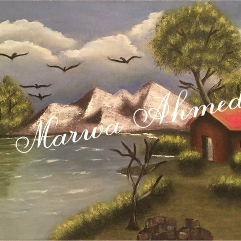 House and Snow Mountains