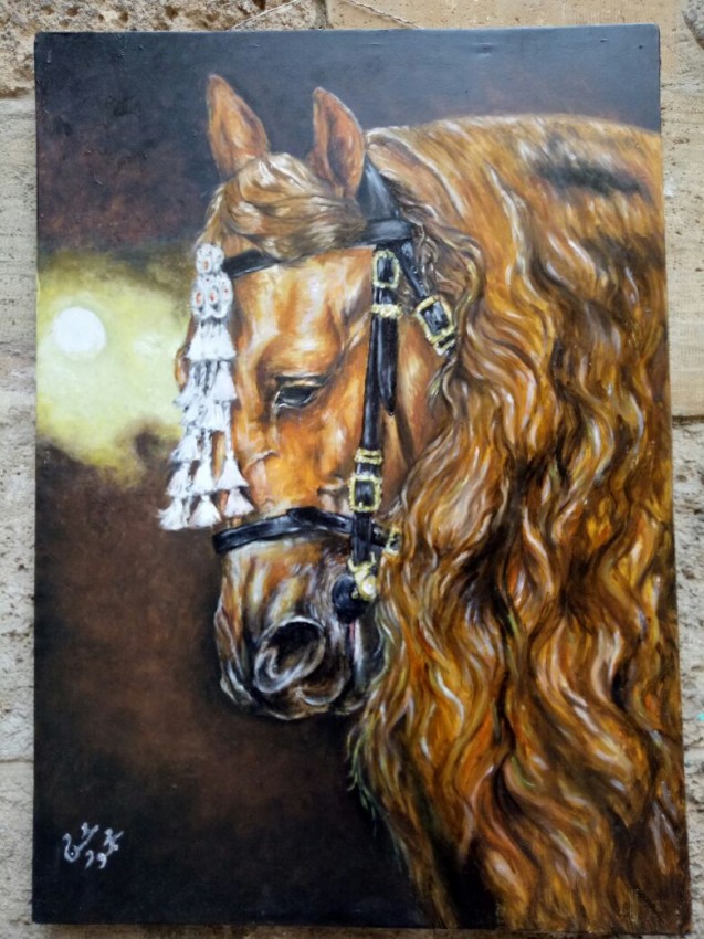 Arabian Breed