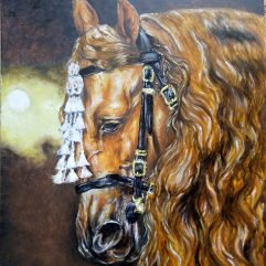 Arabian Breed