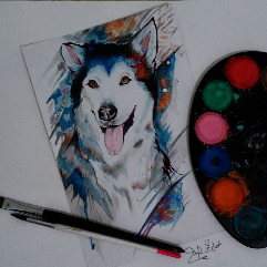 Husky