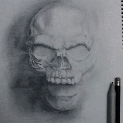 Skull