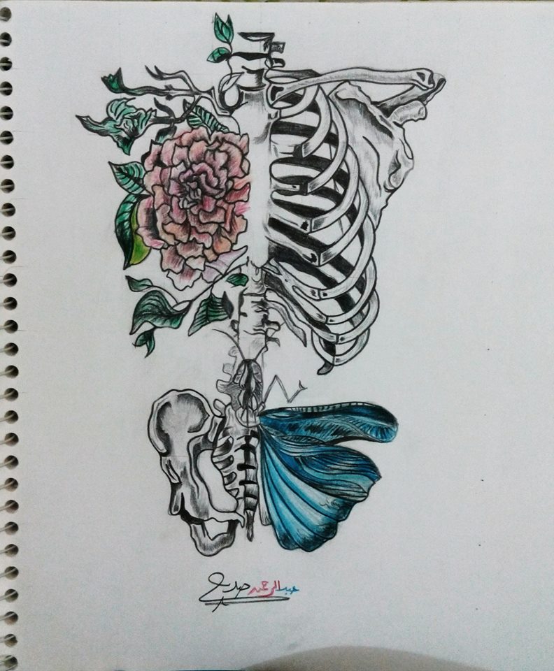 Lovely Anatomic Skeleton
