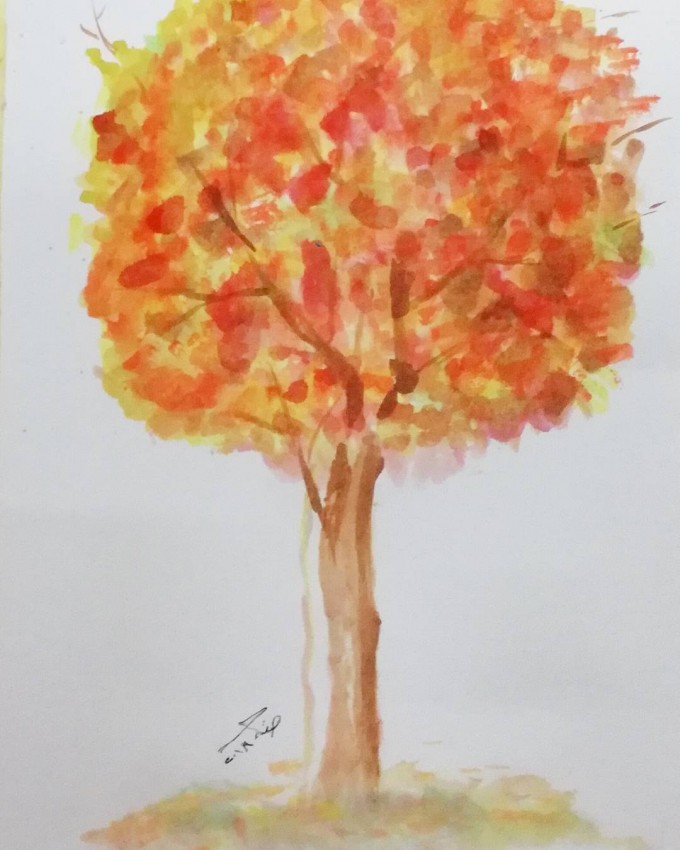 Orange Tree