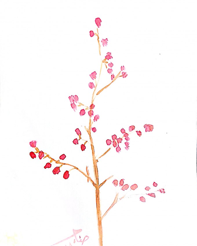فرع مرذهر