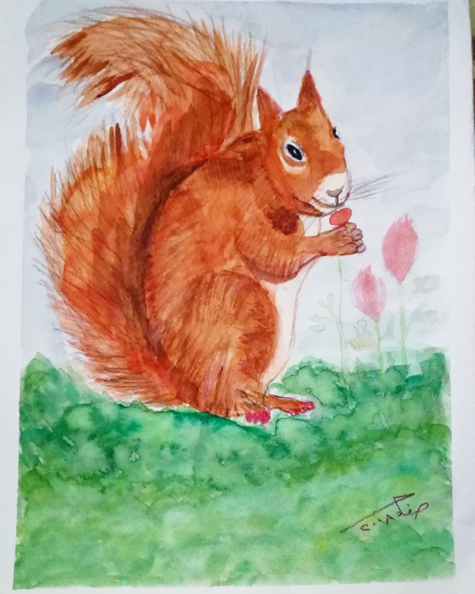 Squirrel In Love