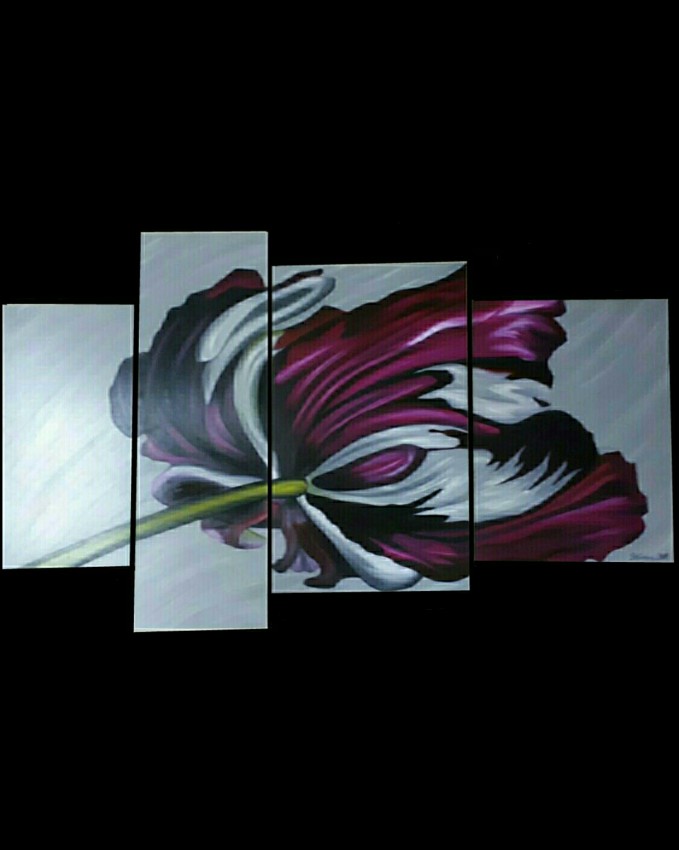 Magenta Flower