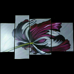 Magenta Flower