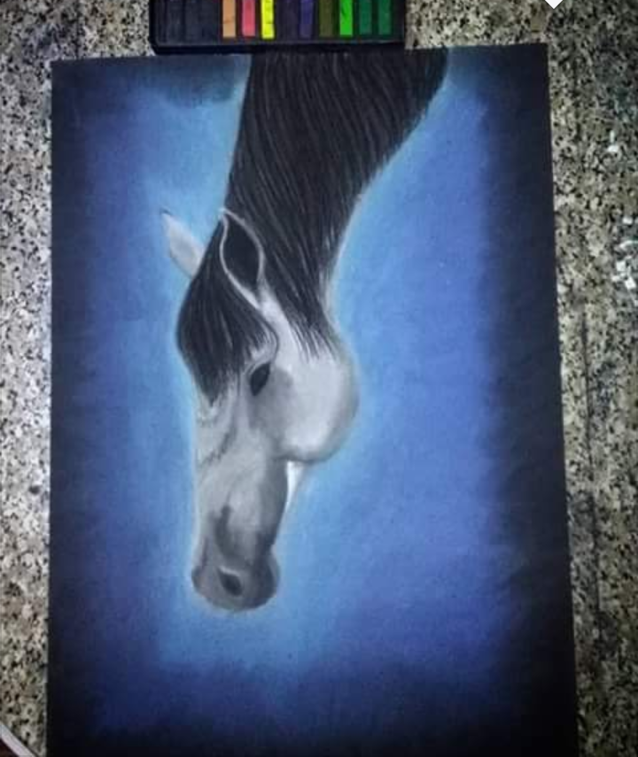 A Horse's Head