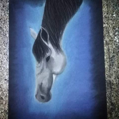 A Horse's Head