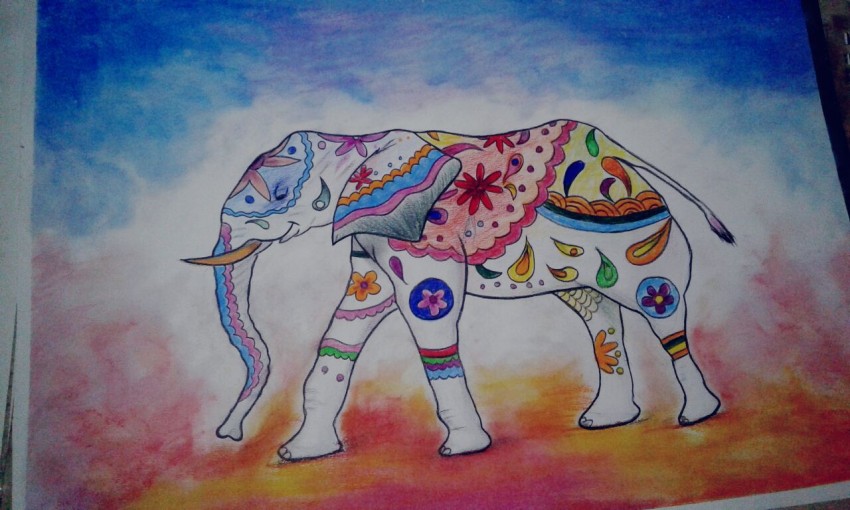Festival of Colors