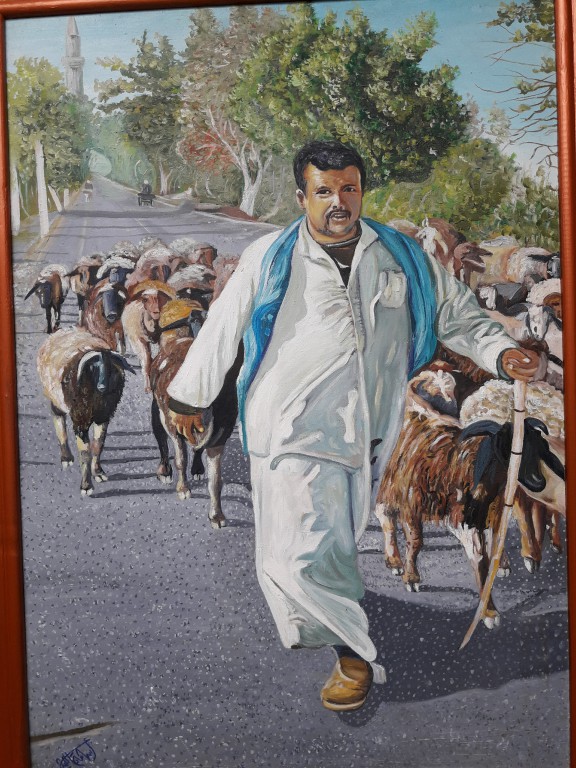 Sheep Herder