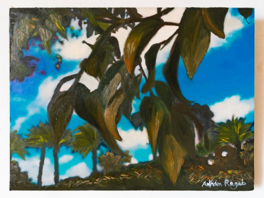 Nature Paintography