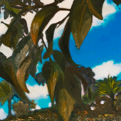 Nature Paintography