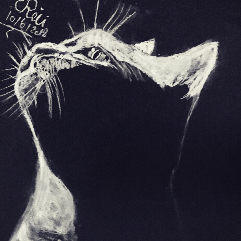 The Cat and The Moon