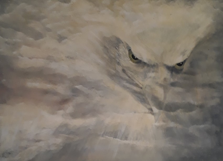 Eagle's Eye