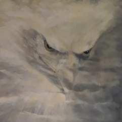 Eagle's Eye