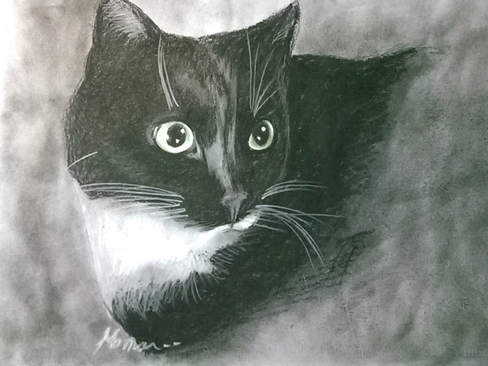 Black Cat with Green Eyes