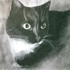 Black Cat with Green Eyes