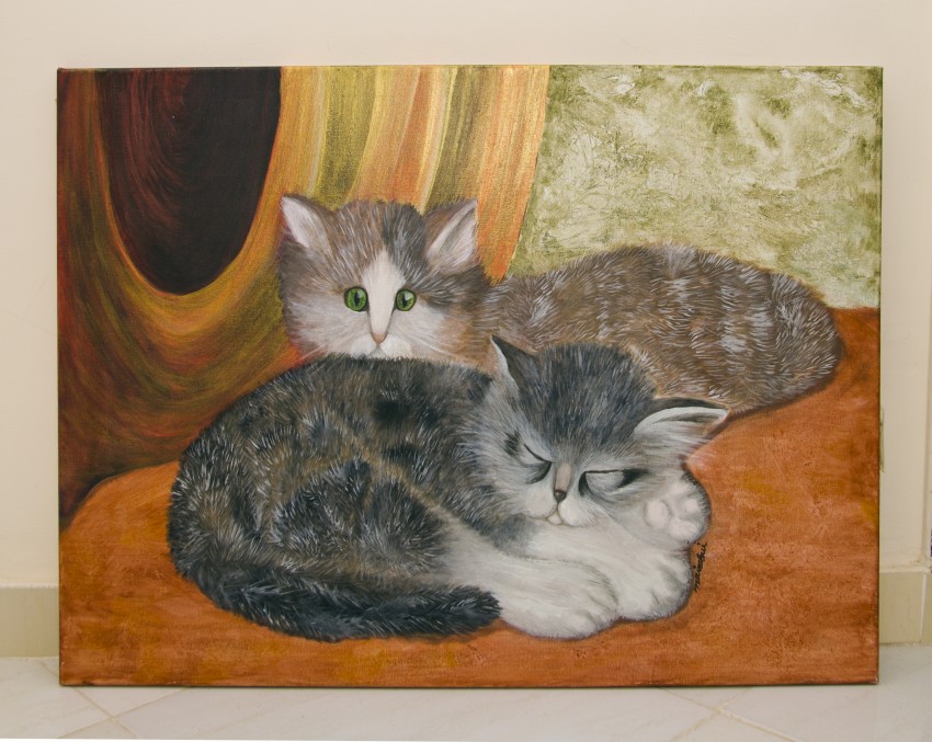 Cats