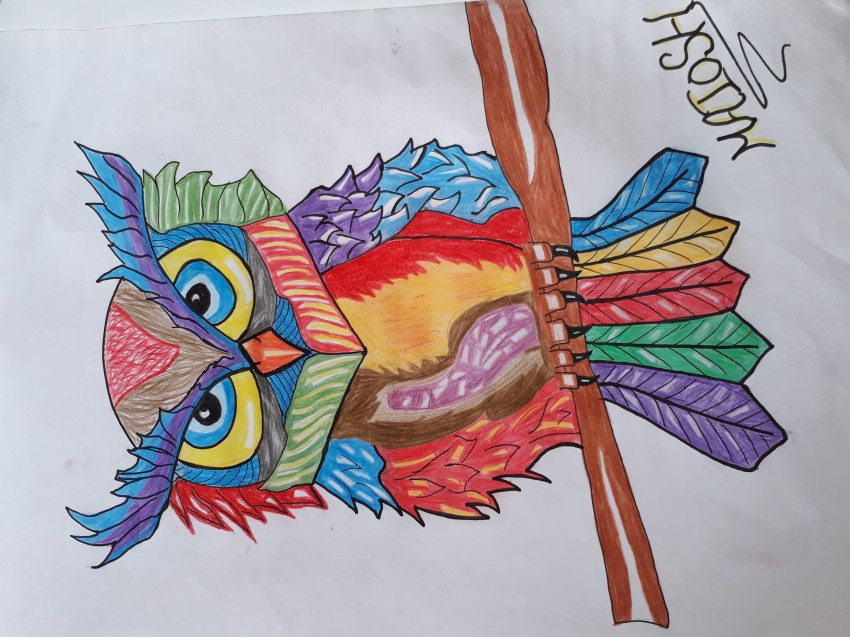Owl