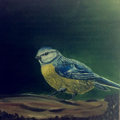Blue bird