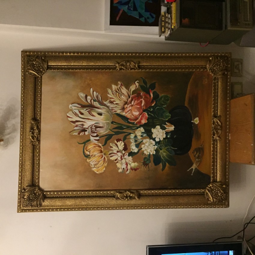 Still Life