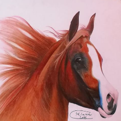 Wild Horse
