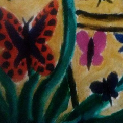 Butterflies