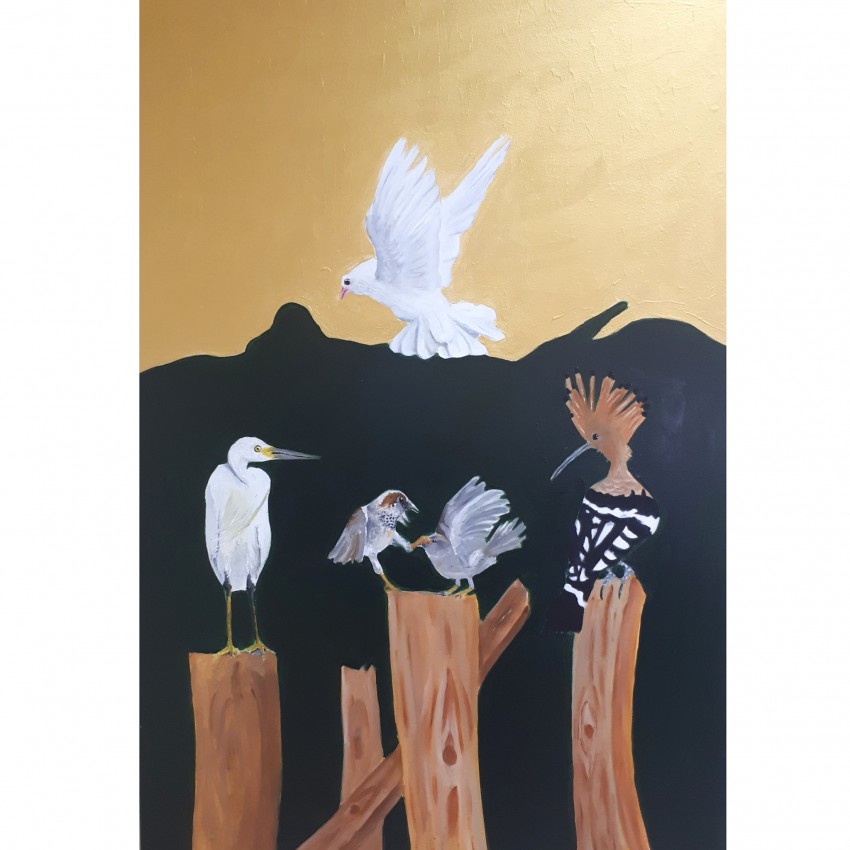 Surrounding Birds