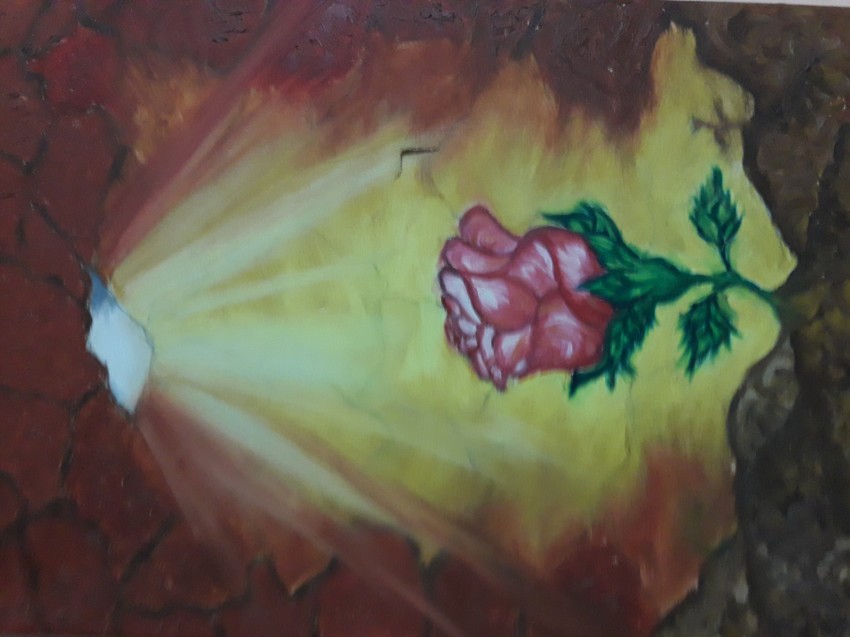 The Cave Rose