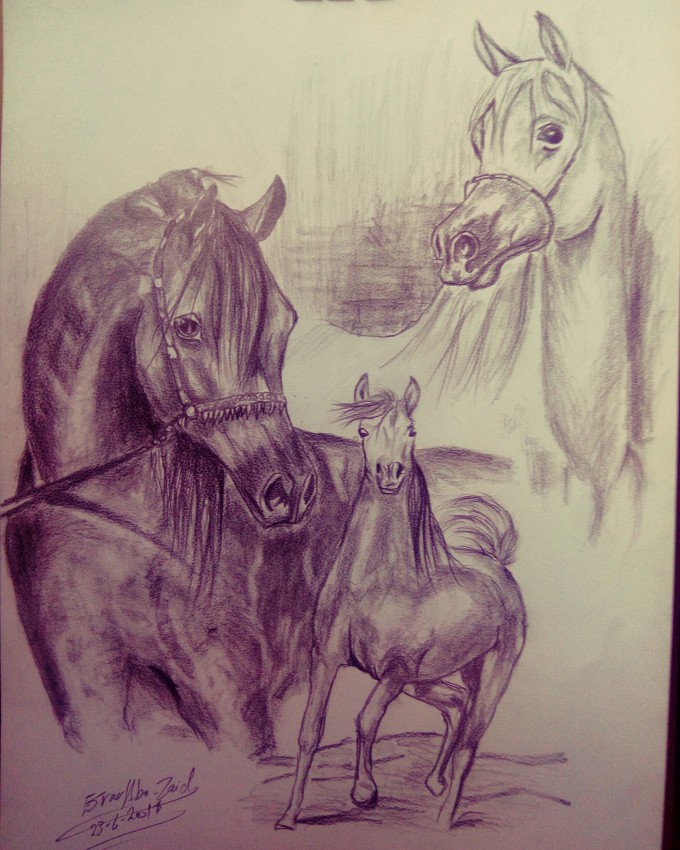 Fantasy Horse