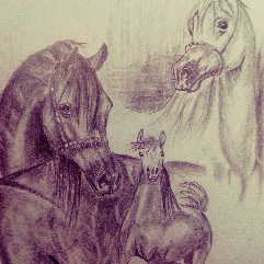 Fantasy Horse