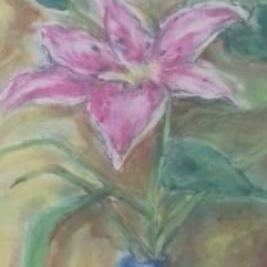 Lilly Flowers