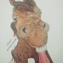 Smiling Horse