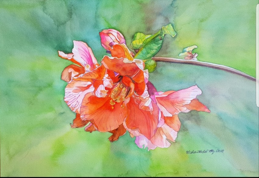Alluring Flower