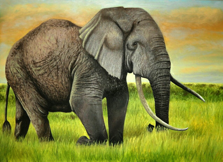 The Elephant