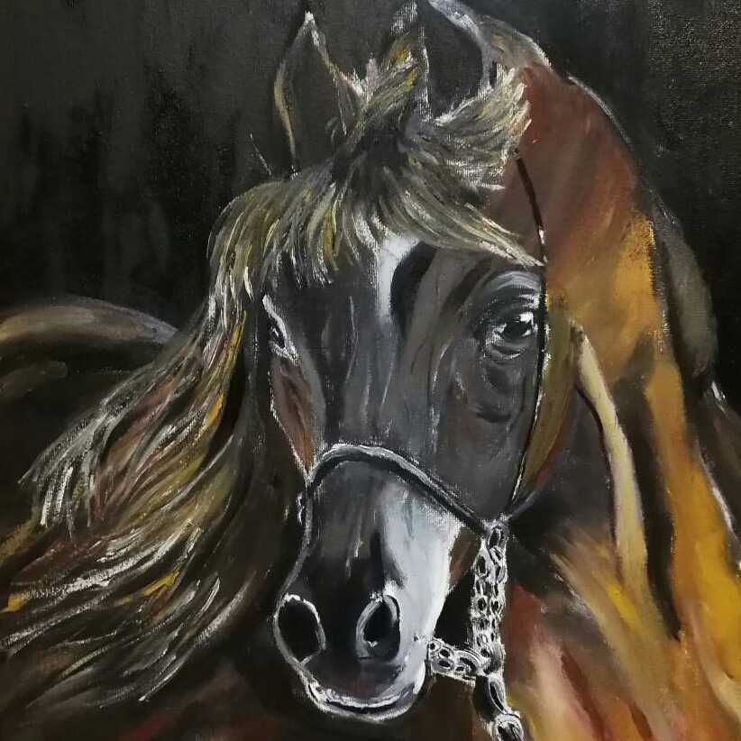 Beautiful Brown Horse
