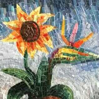 Sun Flower