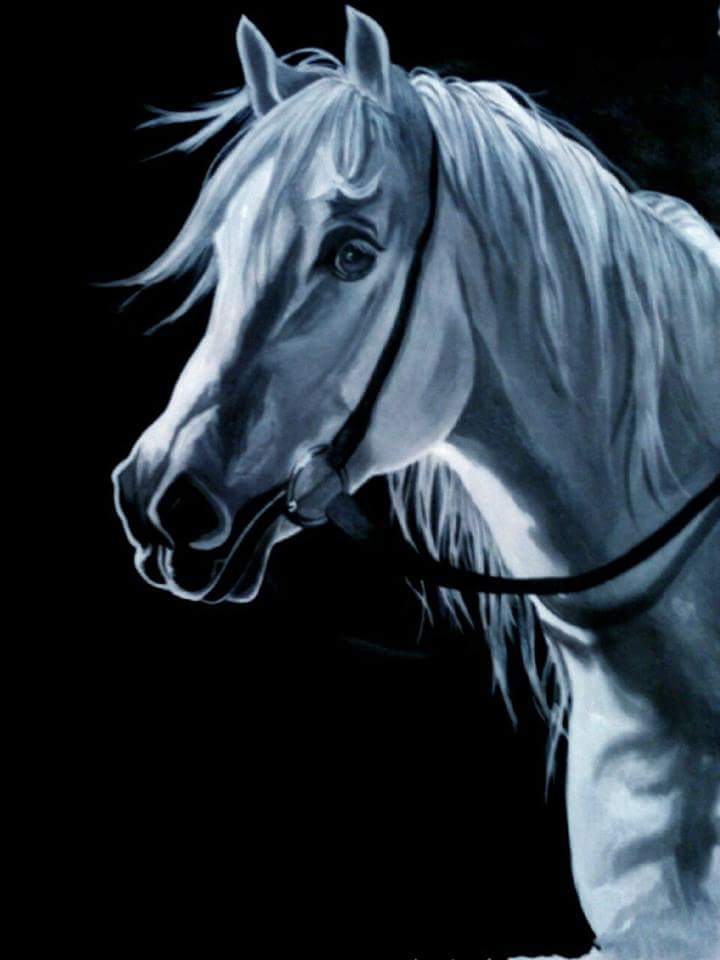 My Horse